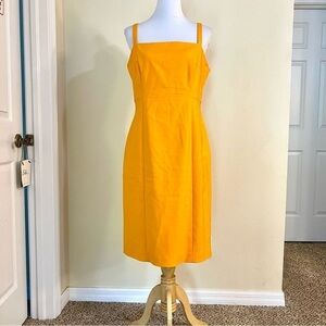 ANTONIO MELANI | Dresses | Antonio Melani Active Tennis Courtside Builtin Short  Mini Dress Lime Size M Nwt | Poshmark